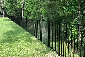 Wrought Iron Fence