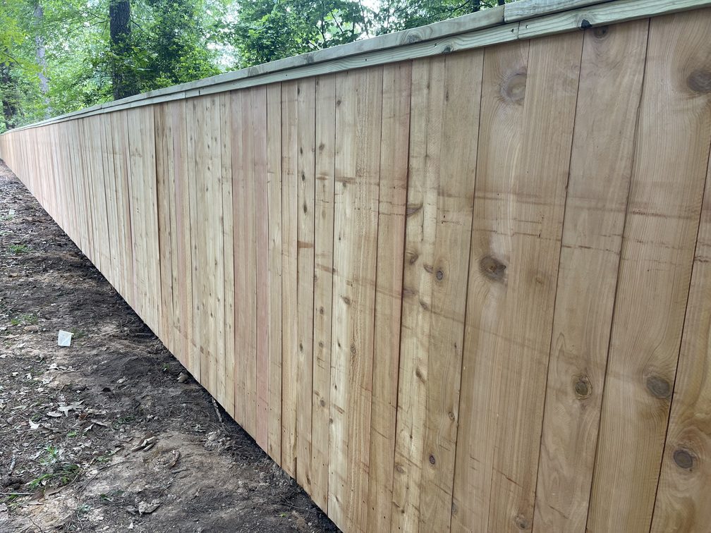 Photo Apr 12 2023, 12 24 54 PM