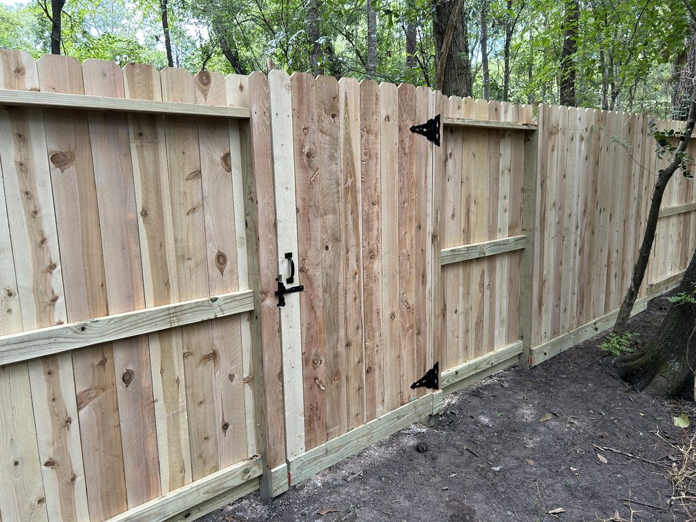 Photo Aug 15 2024, 4 56 36 PM