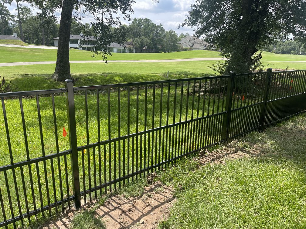 Photo Jul 19 2024, 11 49 20 AM