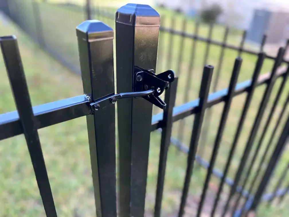 Photo Oct 15 2024, 9 41 30 AM