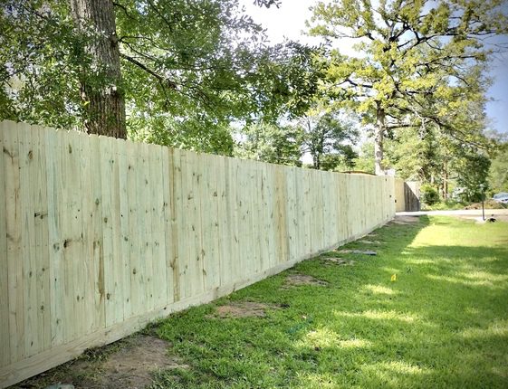 Photo Sep 22 2024, 7 49 38 PM (4)