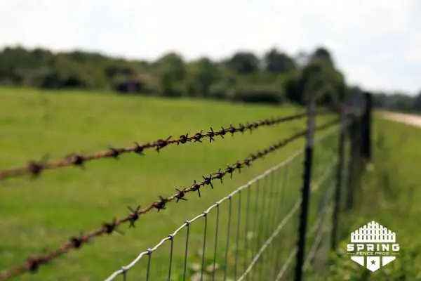 barbed wire ranch fence