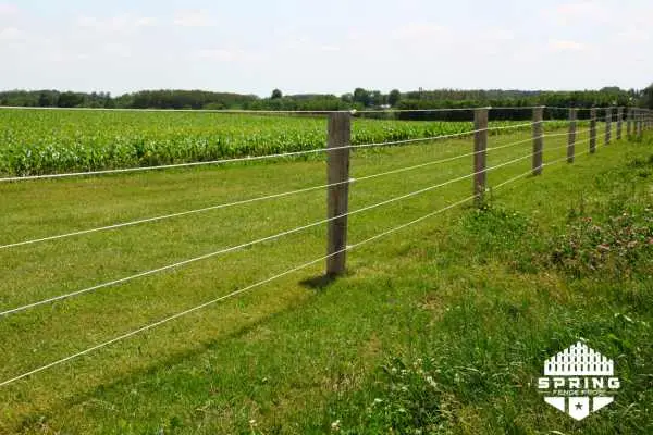 electric ranch fence spring tx